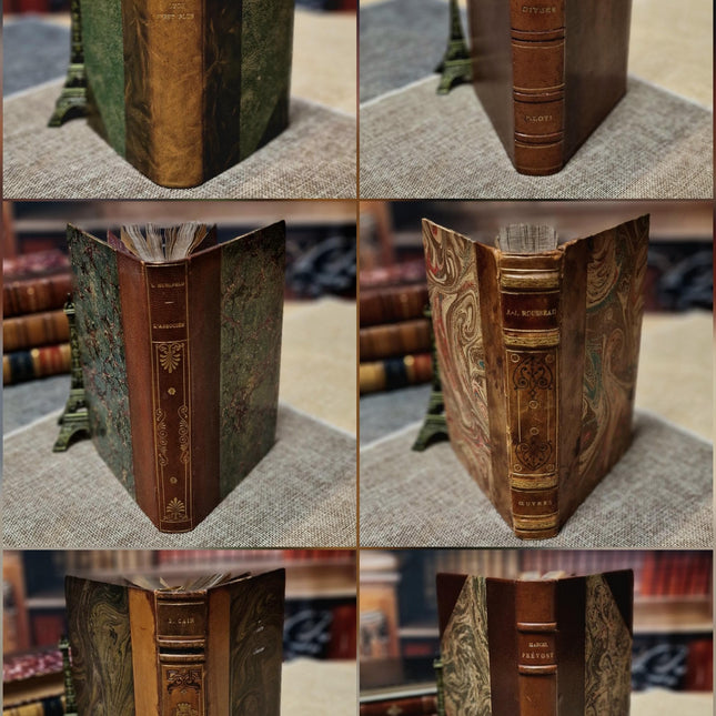 Antique French Leather Bound Books, 17th–20th Century, Dark Academia Bookshelf Decor, Vintage Library Collection for Interior Design