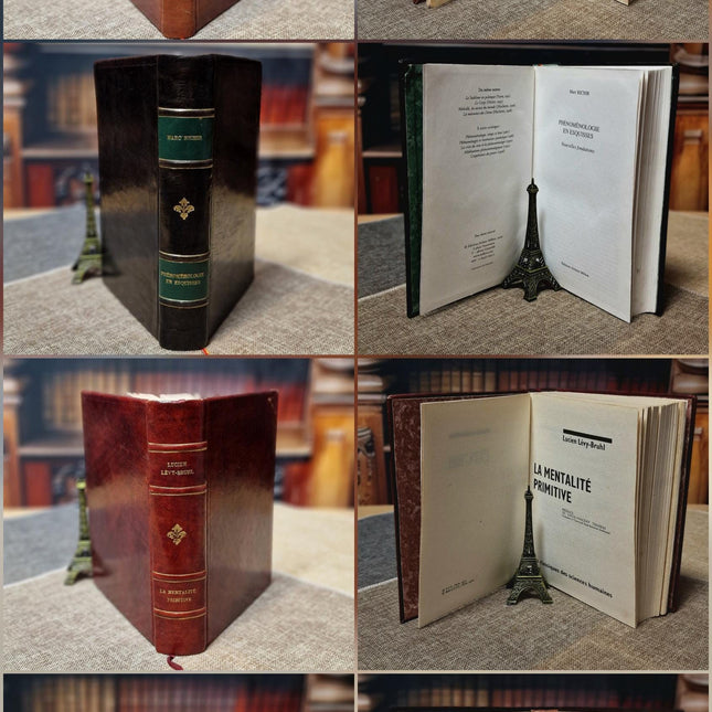 Antique French Leather Bound Books, 17th–20th Century, Dark Academia Bookshelf Decor, Vintage Library Collection for Interior Design
