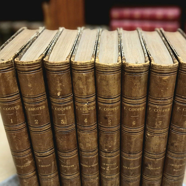 Antique French Leather Book Set, 30 Volumes, Illustrated 19th Century Bookshelf Decor, Old Library Aesthetic, Dark Academia Vintage Interior