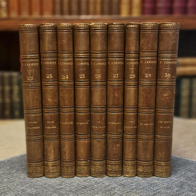 Antique French Leather Book Set, 30 Volumes, Illustrated 19th Century Bookshelf Decor, Old Library Aesthetic, Dark Academia Vintage Interior