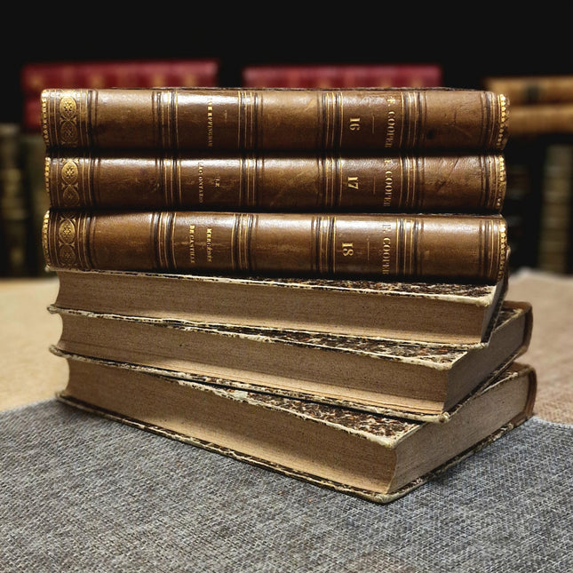 Antique French Leather Book Set, 30 Volumes, Illustrated 19th Century Bookshelf Decor, Old Library Aesthetic, Dark Academia Vintage Interior