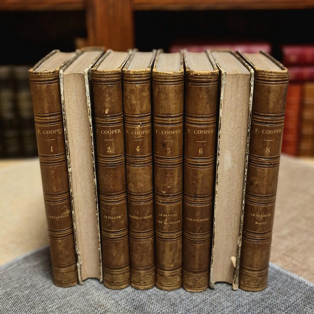 Antique French Leather Book Set, 30 Volumes, Illustrated 19th Century Bookshelf Decor, Old Library Aesthetic, Dark Academia Vintage Interior
