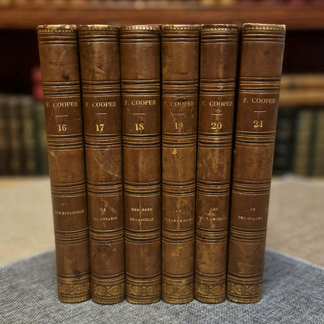 Antique French Leather Book Set, 30 Volumes, Illustrated 19th Century Bookshelf Decor, Old Library Aesthetic, Dark Academia Vintage Interior