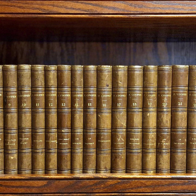 Antique French Leather Book Set, 30 Volumes, Illustrated 19th Century Bookshelf Decor, Old Library Aesthetic, Dark Academia Vintage Interior