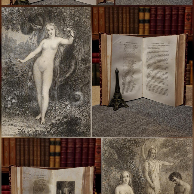 1860 Antique French Leather Book Set, 12 Volumes, Illustrated 19th Century Bookshelf Decor, Dark Academia Library, Vintage Interior Styling