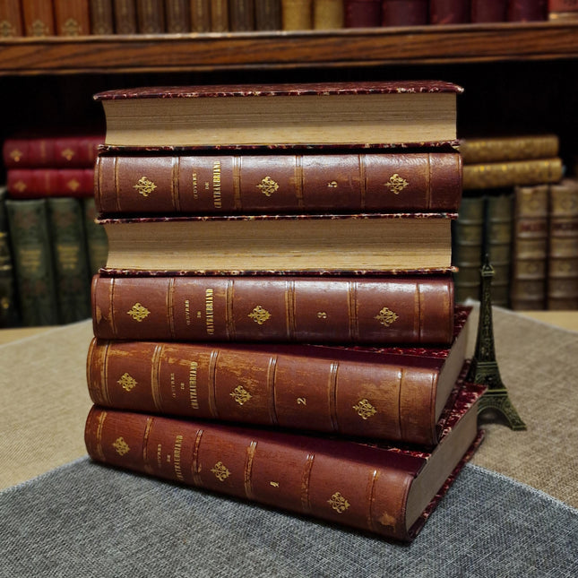 1860 Antique French Leather Book Set, 12 Volumes, Illustrated 19th Century Bookshelf Decor, Dark Academia Library, Vintage Interior Styling