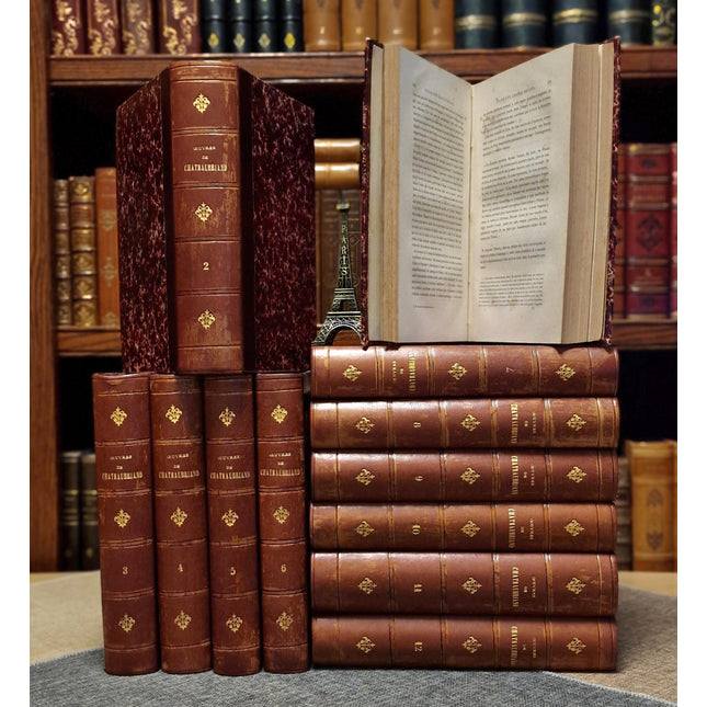 1860 Antique French Leather Book Set, 12 Volumes, Illustrated 19th Century Bookshelf Decor, Dark Academia Library, Vintage Interior Styling