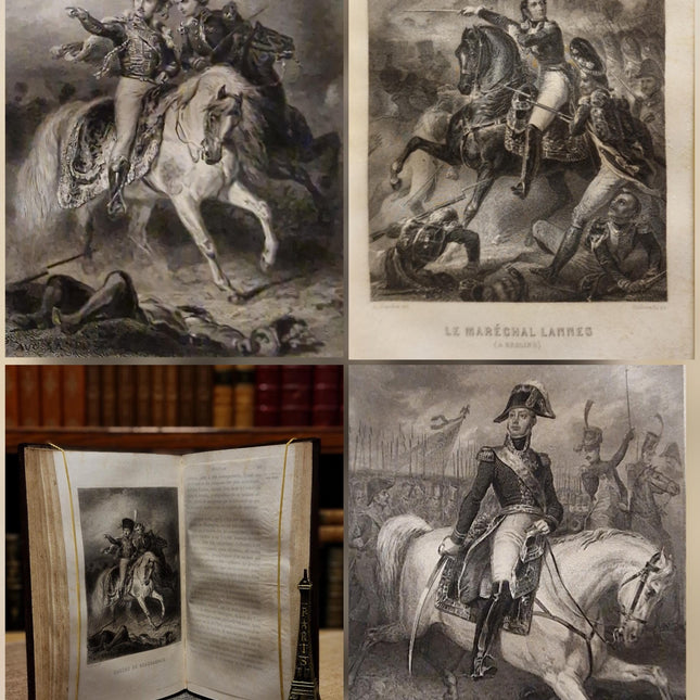 1845 Rare Antique French Leather Book Set, 20 Volumes, Illustrated Napoleonic Bookshelf Decor, Dark Academia Library, Vintage Interior