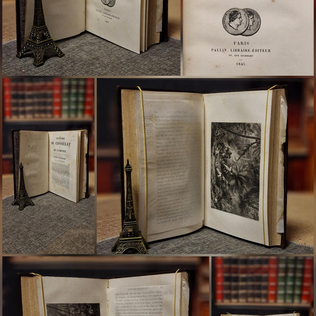 1845 Rare Antique French Leather Book Set, 20 Volumes, Illustrated Napoleonic Bookshelf Decor, Dark Academia Library, Vintage Interior