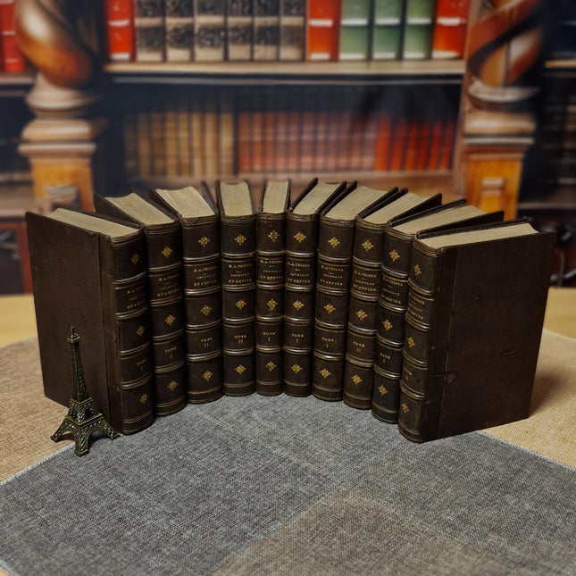 1845 Rare Antique French Leather Book Set, 20 Volumes, Illustrated Napoleonic Bookshelf Decor, Dark Academia Library, Vintage Interior