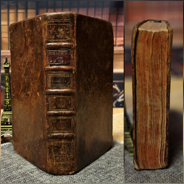 Antique French Leather Books, 18th Century Set of 10, Dark Academia Library Styling, Vintage Book Collection, Shabby Chic Bookshelf Decor