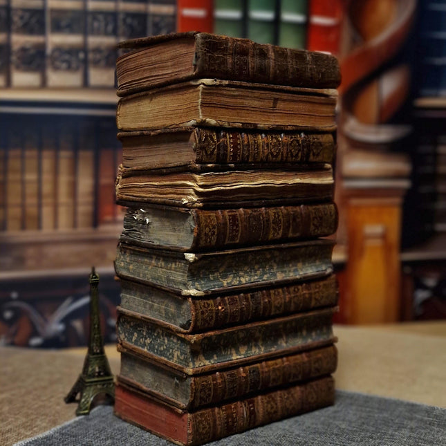Antique French Leather Books, 18th Century Set of 10, Dark Academia Library Styling, Vintage Book Collection, Shabby Chic Bookshelf Decor