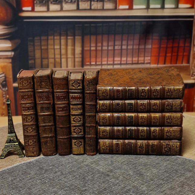 Antique French Leather Books, 18th Century Set of 10, Dark Academia Library Styling, Vintage Book Collection, Shabby Chic Bookshelf Decor