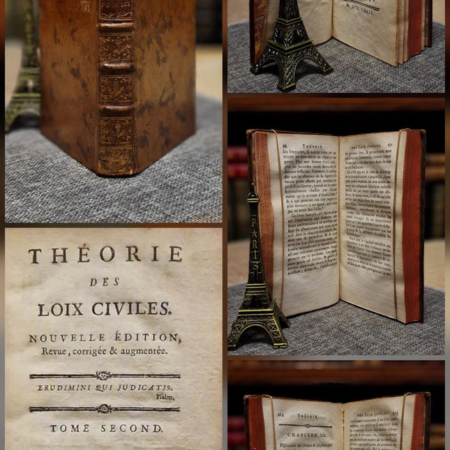 Antique French Leather Books Set of 10, 18th Century Library Volumes, Dark Academia Decor, Old European Book Collection, Shelf Styling