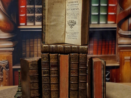 Antique French Leather Books Set of 10, 18th Century Library Volumes, Dark Academia Decor, Old European Book Collection, Shelf Styling