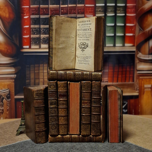 Antique French Leather Books Set of 10, 18th Century Library Volumes, Dark Academia Decor, Old European Book Collection, Shelf Styling