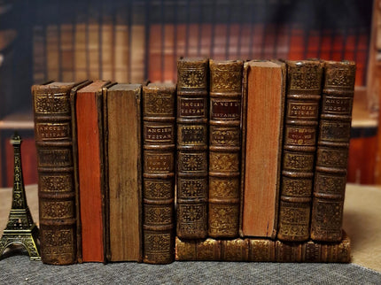 Antique French Leather Books Set of 10, 18th Century Library Volumes, Dark Academia Decor, Old European Book Collection, Shelf Styling