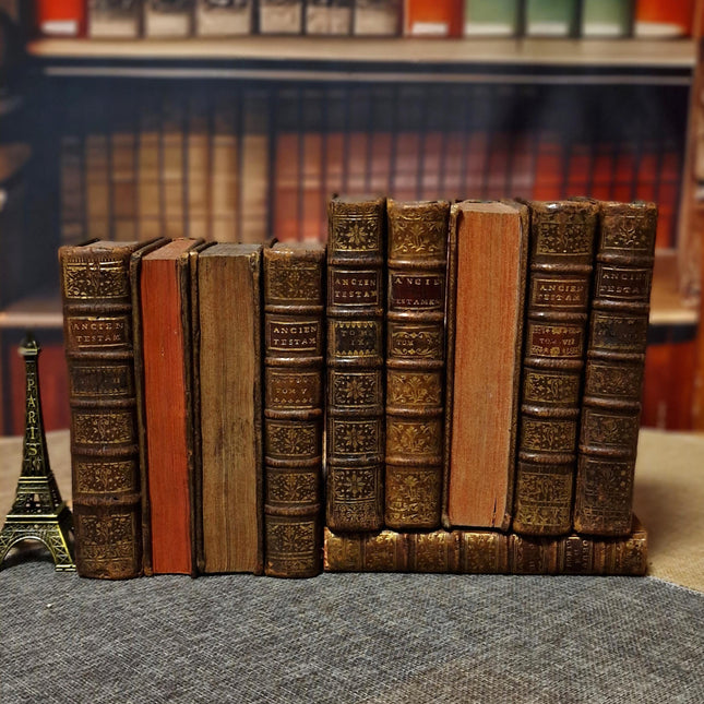 Antique French Leather Books Set of 10, 18th Century Library Volumes, Dark Academia Decor, Old European Book Collection, Shelf Styling