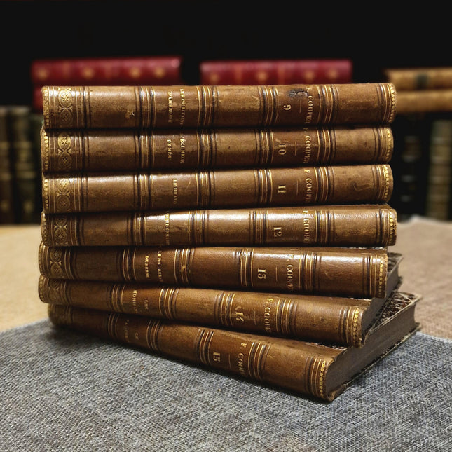 Antique French Leather Book Set, 30 Volumes, Illustrated 19th Century Bookshelf Decor, Old Library Aesthetic, Dark Academia Vintage Interior