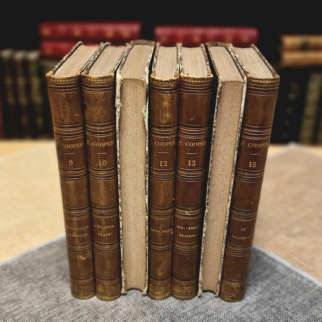 Antique French Leather Book Set, 30 Volumes, Illustrated 19th Century Bookshelf Decor, Old Library Aesthetic, Dark Academia Vintage Interior