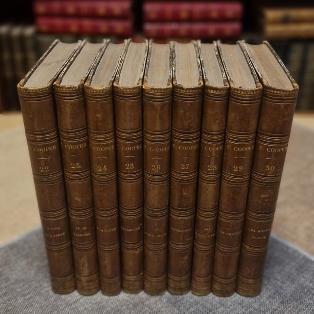 Antique French Leather Book Set, 30 Volumes, Illustrated 19th Century Bookshelf Decor, Old Library Aesthetic, Dark Academia Vintage Interior