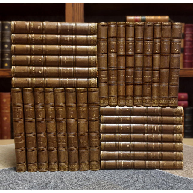 Antique French Leather Book Set, 30 Volumes, Illustrated 19th Century Bookshelf Decor, Old Library Aesthetic, Dark Academia Vintage Interior