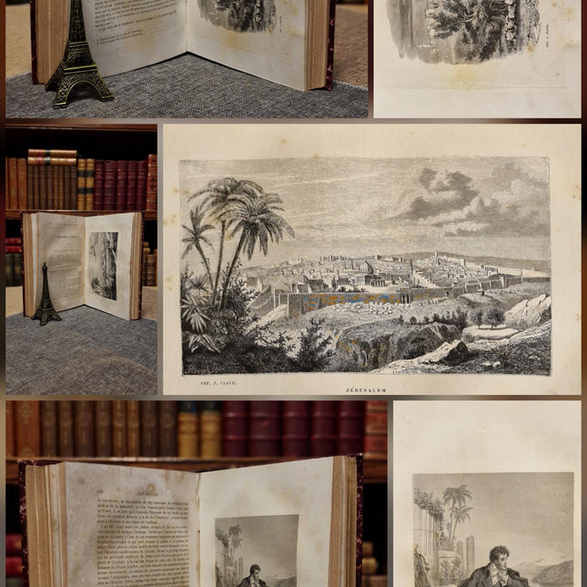 1860 Antique French Leather Book Set, 12 Volumes, Illustrated 19th Century Bookshelf Decor, Dark Academia Library, Vintage Interior Styling