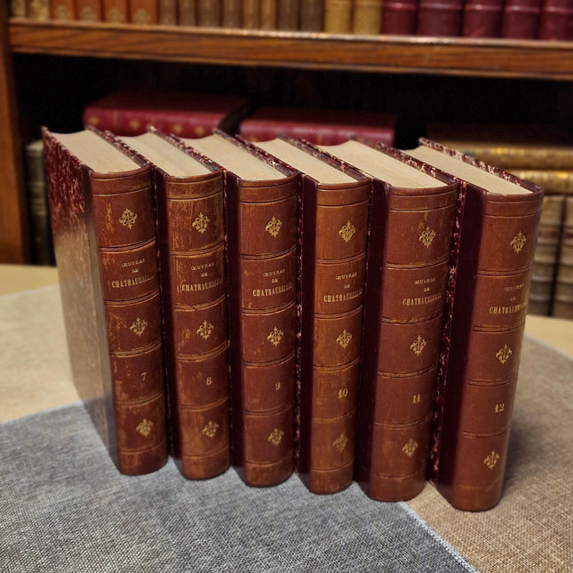 1860 Antique French Leather Book Set, 12 Volumes, Illustrated 19th Century Bookshelf Decor, Dark Academia Library, Vintage Interior Styling