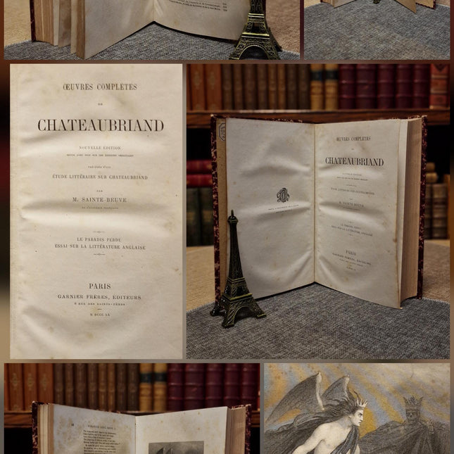 1860 Antique French Leather Book Set, 12 Volumes, Illustrated 19th Century Bookshelf Decor, Dark Academia Library, Vintage Interior Styling
