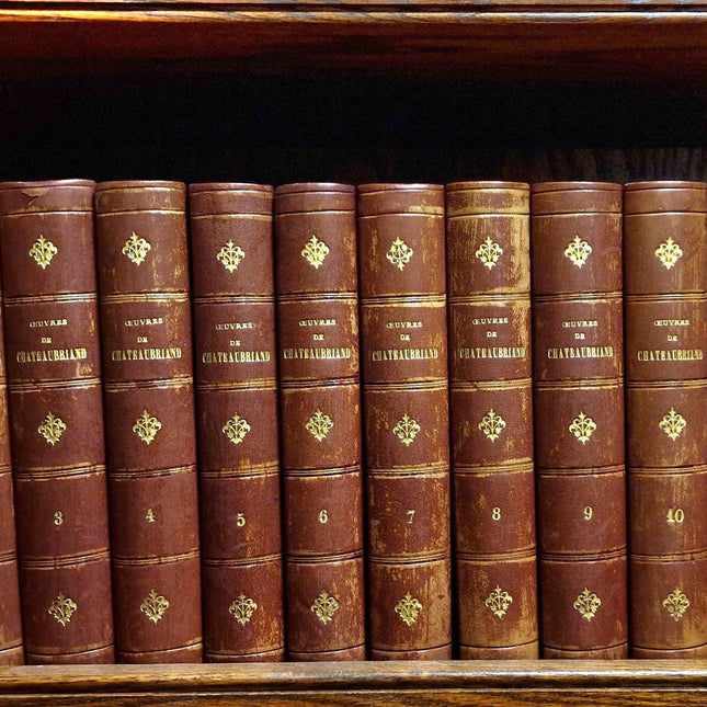 1860 Antique French Leather Book Set, 12 Volumes, Illustrated 19th Century Bookshelf Decor, Dark Academia Library, Vintage Interior Styling