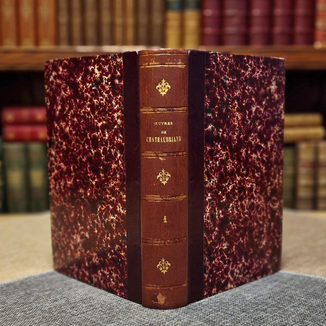 1860 Antique French Leather Book Set, 12 Volumes, Illustrated 19th Century Bookshelf Decor, Dark Academia Library, Vintage Interior Styling
