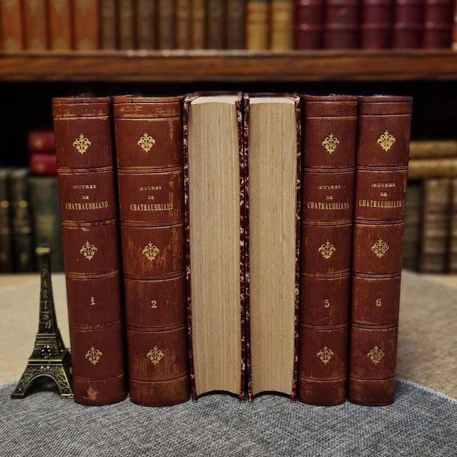1860 Antique French Leather Book Set, 12 Volumes, Illustrated 19th Century Bookshelf Decor, Dark Academia Library, Vintage Interior Styling