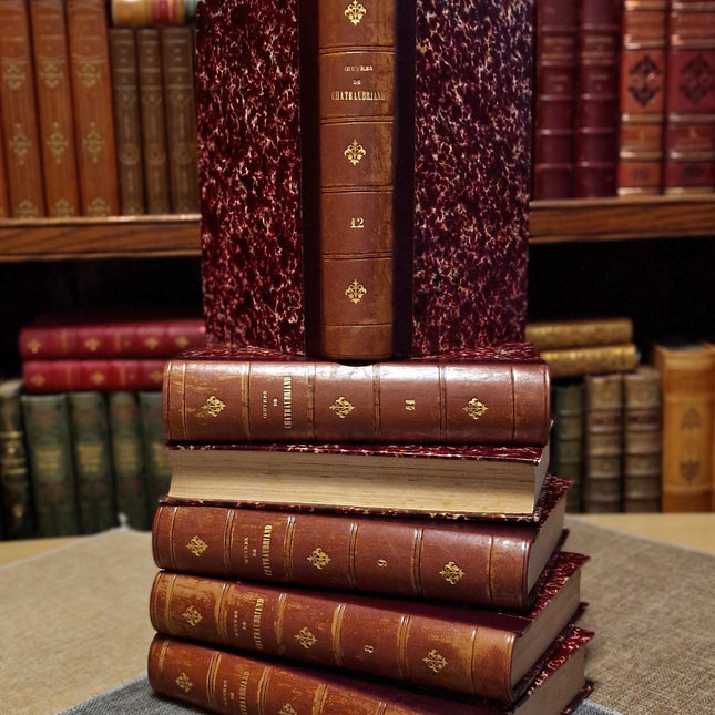 1860 Antique French Leather Book Set, 12 Volumes, Illustrated 19th Century Bookshelf Decor, Dark Academia Library, Vintage Interior Styling