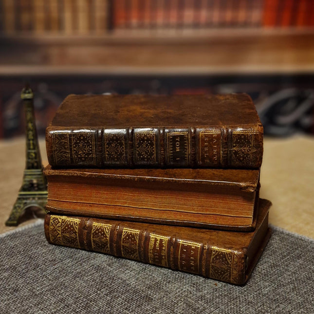 1721 Antique French Leather Bible Set, 3 Volumes, 18th Century Bookshelf Decor, Religious Library, Dark Academia Interior