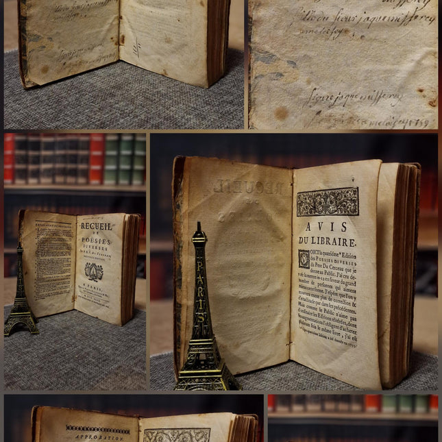 Antique French Leather Books, 18th Century Set of 10, Dark Academia Library Styling, Vintage Book Collection, Shabby Chic Bookshelf Decor