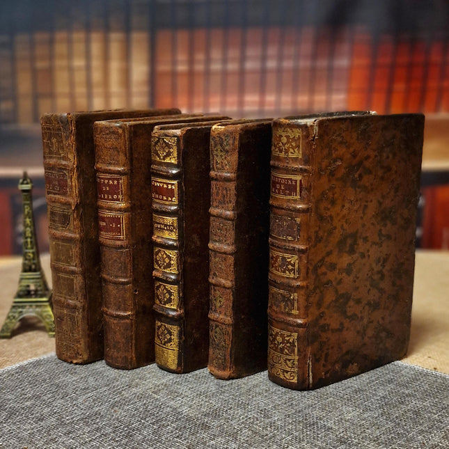 Antique French Leather Books, 18th Century Set of 10, Dark Academia Library Styling, Vintage Book Collection, Shabby Chic Bookshelf Decor