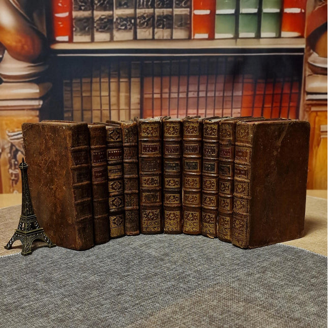 Antique French Leather Books, 18th Century Set of 10, Dark Academia Library Styling, Vintage Book Collection, Shabby Chic Bookshelf Decor