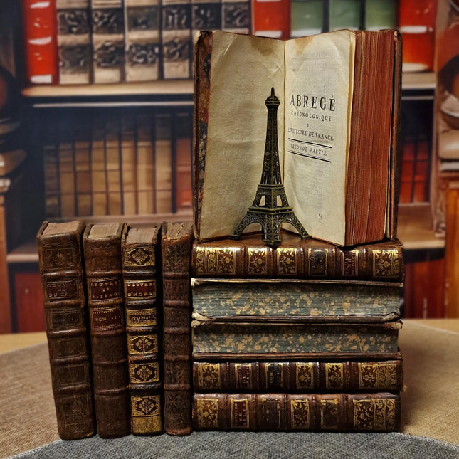 Antique French Leather Books, 18th Century Set of 10, Dark Academia Library Styling, Vintage Book Collection, Shabby Chic Bookshelf Decor