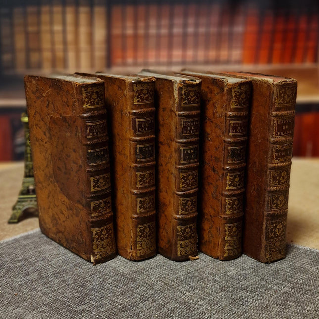 Antique French Leather Books, 18th Century Set of 10, Dark Academia Library Styling, Vintage Book Collection, Shabby Chic Bookshelf Decor