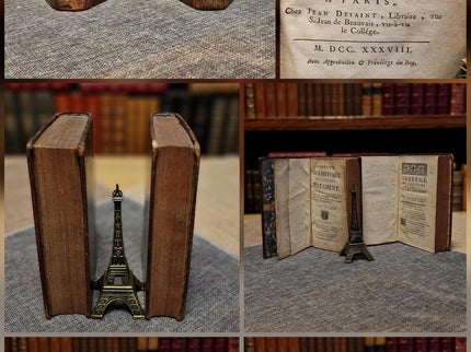 Antique French Leather Books Set of 10, 18th Century Library Volumes, Dark Academia Decor, Old European Book Collection, Shelf Styling