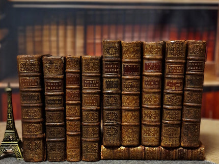 Antique French Leather Books Set of 10, 18th Century Library Volumes, Dark Academia Decor, Old European Book Collection, Shelf Styling