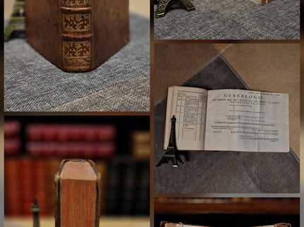 Antique French Leather Books Set of 10, 18th Century Library Volumes, Dark Academia Decor, Old European Book Collection, Shelf Styling