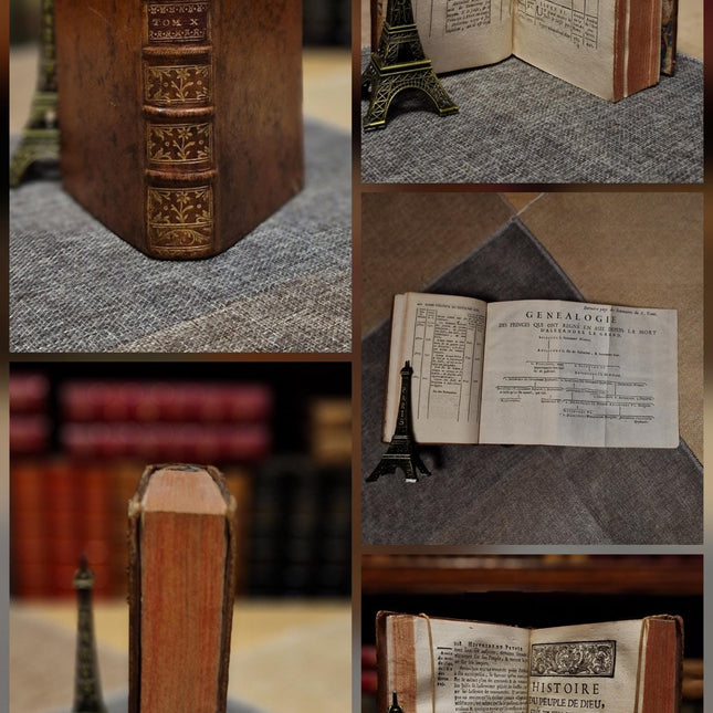 Antique French Leather Books Set of 10, 18th Century Library Volumes, Dark Academia Decor, Old European Book Collection, Shelf Styling