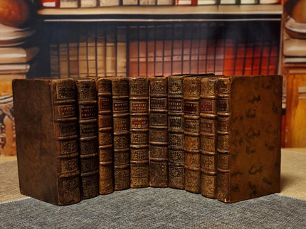 Antique French Leather Books Set of 10, 18th Century Library Volumes, Dark Academia Decor, Old European Book Collection, Shelf Styling