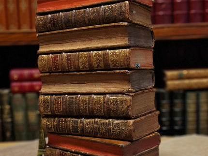 Antique French Leather Books Set of 10, 18th Century Library Volumes, Dark Academia Decor, Old European Book Collection, Shelf Styling