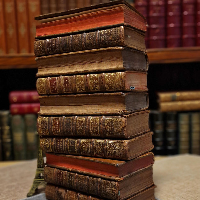 Antique French Leather Books Set of 10, 18th Century Library Volumes, Dark Academia Decor, Old European Book Collection, Shelf Styling